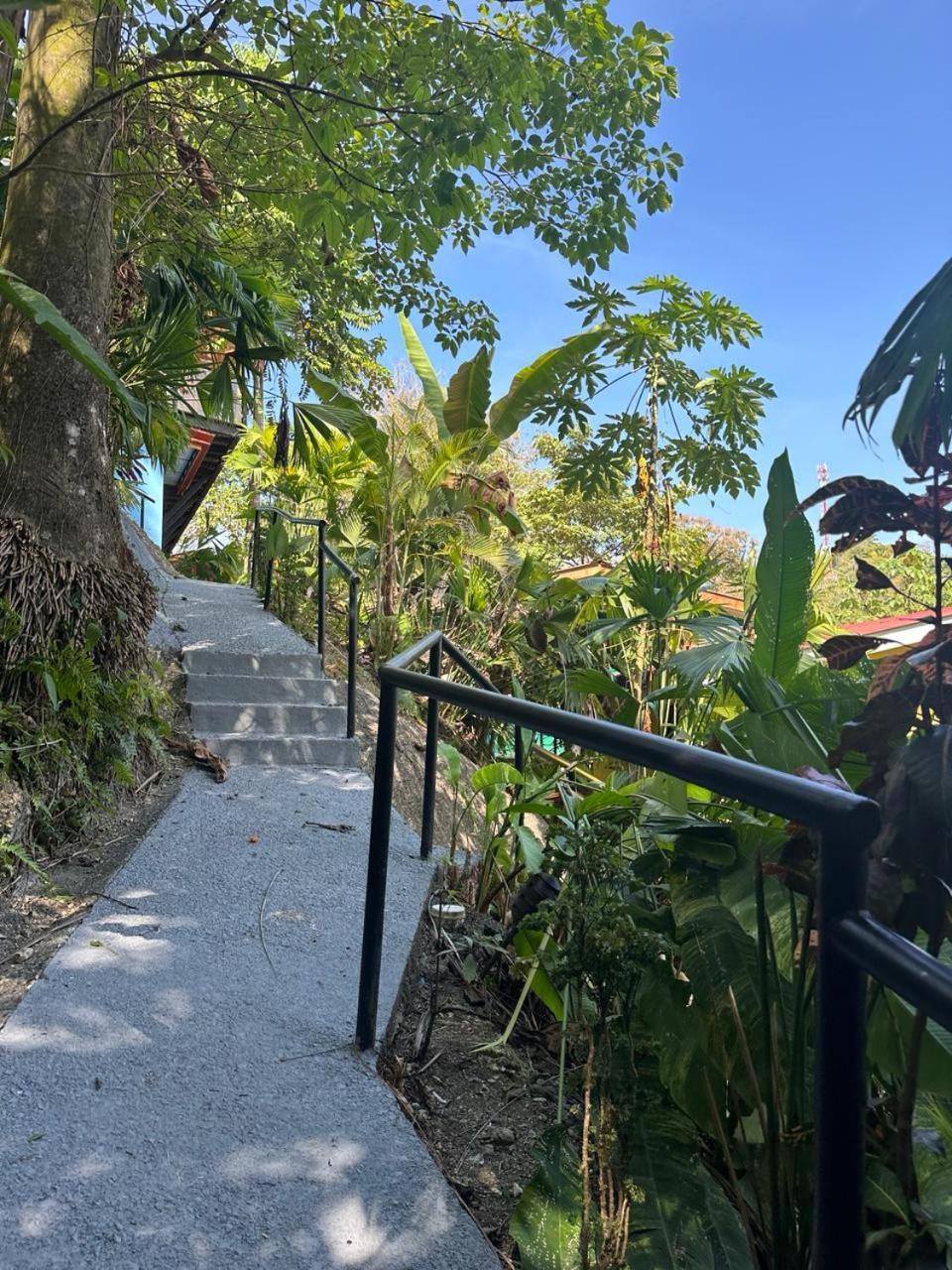 Villas In Sueno Private Jungle Hotel Nationalpark Nationalpark Manuel Antonio Exterior foto